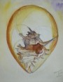 /album/akvarely/c-110-zrozeni-2004-akvarel-24-x-28-cm-celkovy-rozmer-s-okrovou-paspartou-a-hnedym-drazkovanym-rameckem-je-48-x-43-5-cm-cena-je-1800-kc-jpg1/